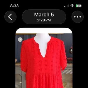 NWT Womens Red V-Neck Swiss Dot Dress (Sm) SH103